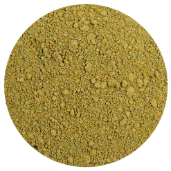 Holy Basil (Tulsi) Rama | Sterilized powder
