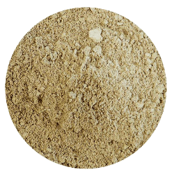 Holy Basil (Tulsi) Vana | Sterilized powder