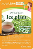 ICE PLANT TEA