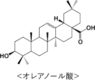 オレアノール酸