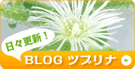 BLOG　ツブリナ