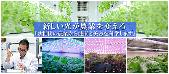 新しい光が農業を変える新光源HEFLを使った植物工場