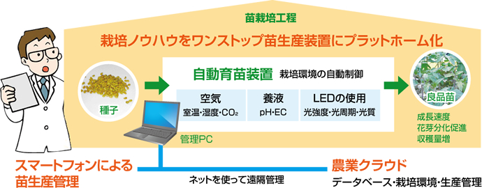 栽培ノウハウをワンストップ苗生産装置にプラットホーム化