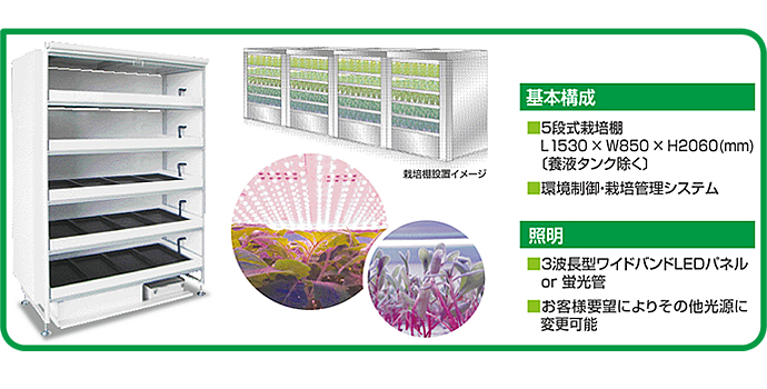 基本構成・照明