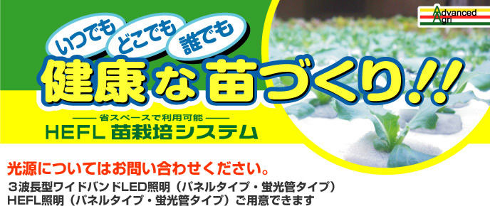 [いつでも][どこでも][だれでも]健康な苗づくり！！省スペースで利用可能「HEFL苗栽培システム」
