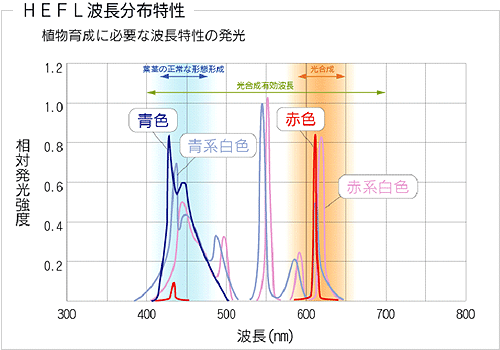 HEFL波長分布特性