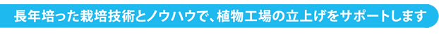 長年培った栽培技術とノウハウで、植物工場の立上げをサポートします