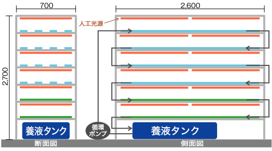 基本仕様 6段2連結